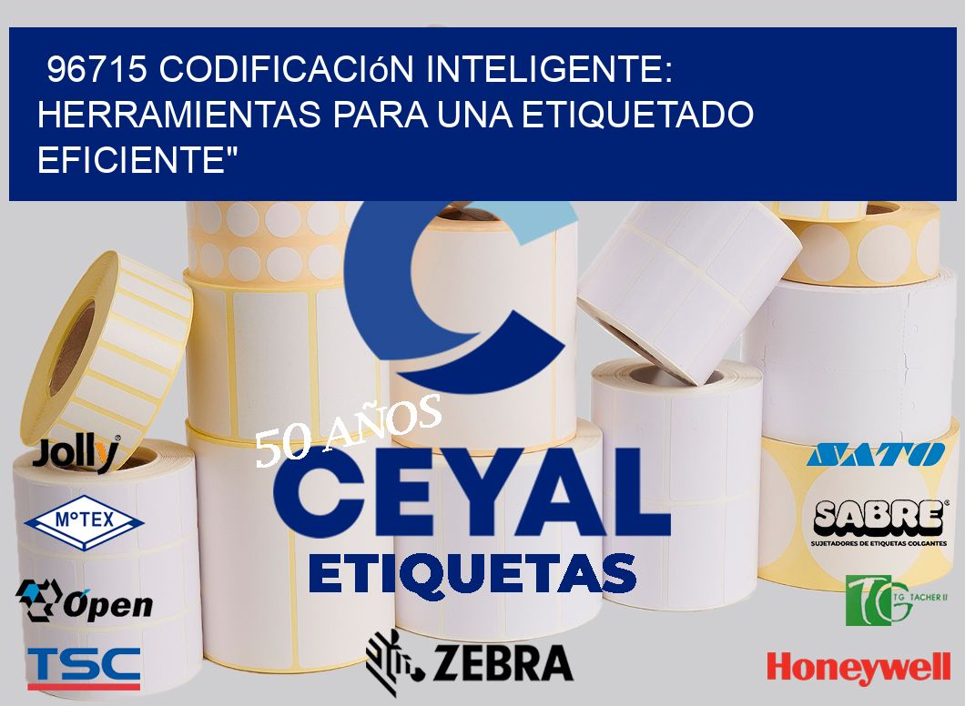 96715 Codificación Inteligente: Herramientas para una Etiquetado Eficiente»