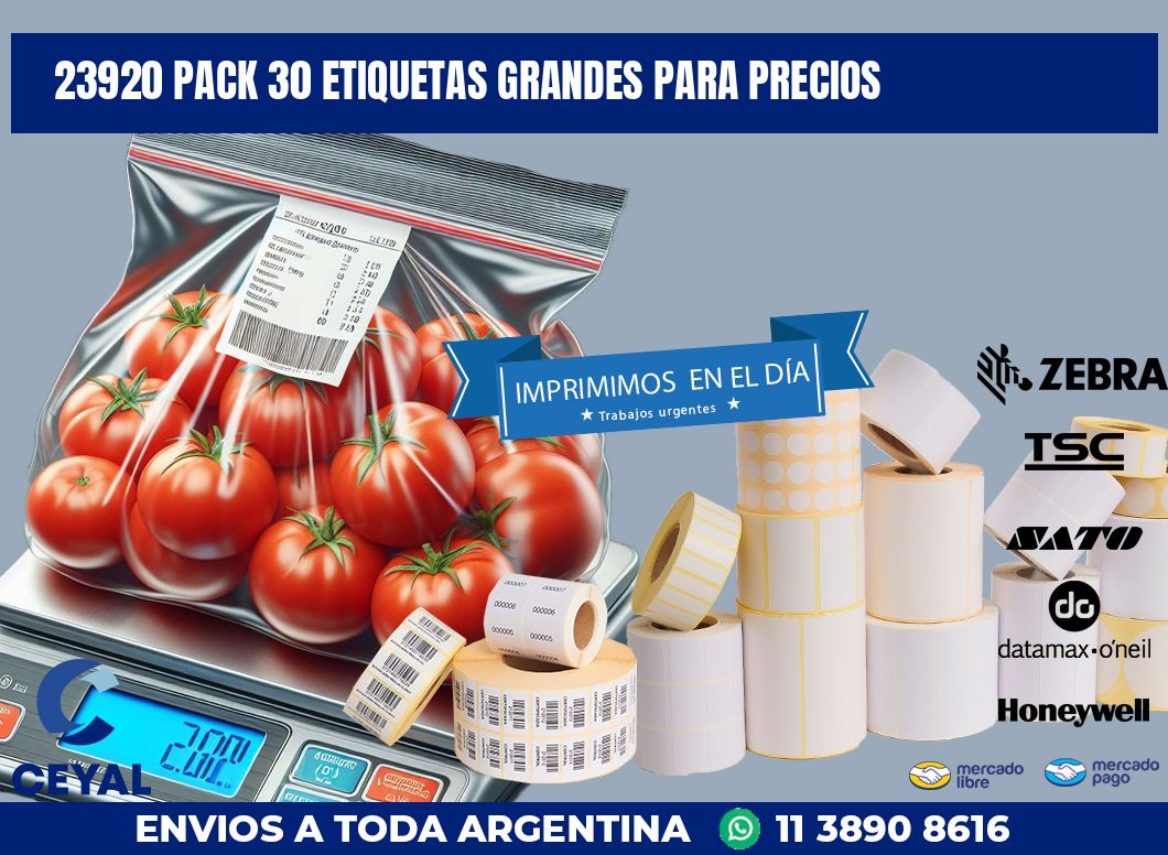 23920 PACK 30 ETIQUETAS GRANDES PARA PRECIOS