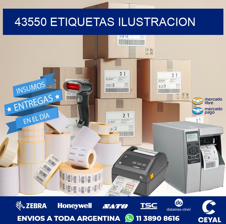43550 ETIQUETAS ILUSTRACION