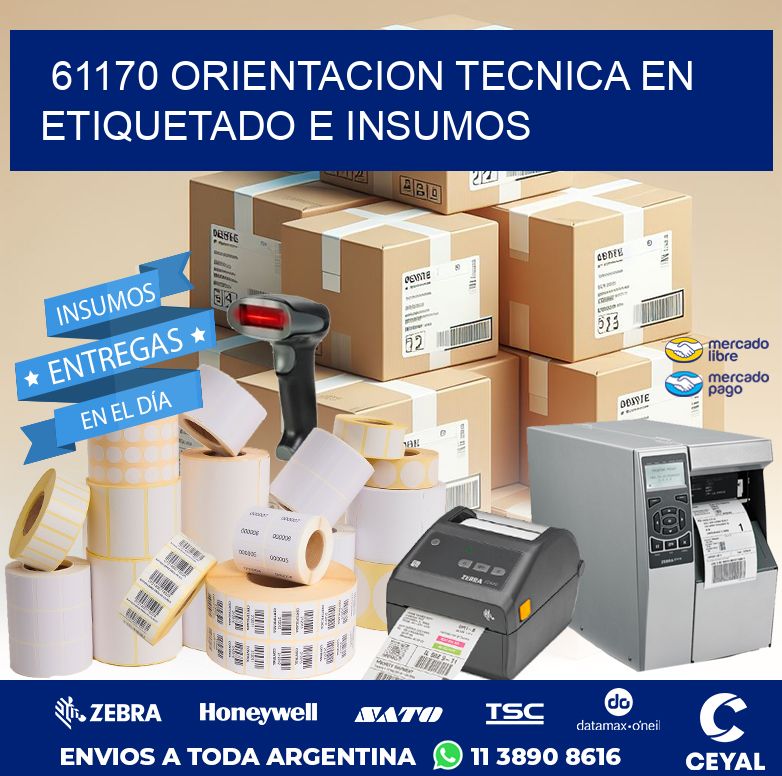 61170 ORIENTACION TECNICA EN ETIQUETADO E INSUMOS
