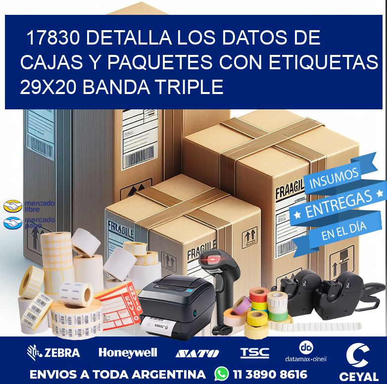 17830 DETALLA LOS DATOS DE CAJAS Y PAQUETES CON ETIQUETAS 29X20 BANDA TRIPLE