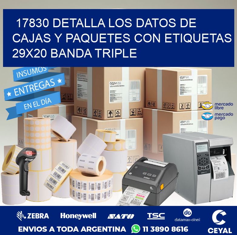 17830 DETALLA LOS DATOS DE CAJAS Y PAQUETES CON ETIQUETAS 29X20 BANDA TRIPLE