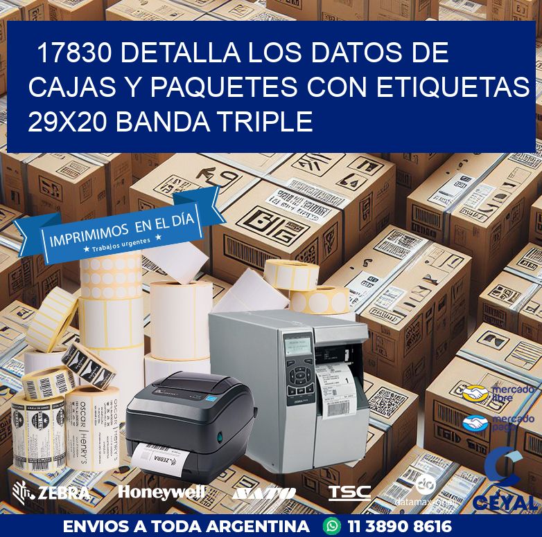 17830 DETALLA LOS DATOS DE CAJAS Y PAQUETES CON ETIQUETAS 29X20 BANDA TRIPLE