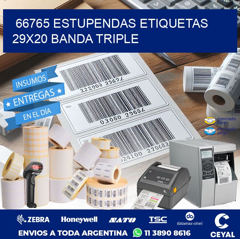 66765 ESTUPENDAS ETIQUETAS 29X20 BANDA TRIPLE