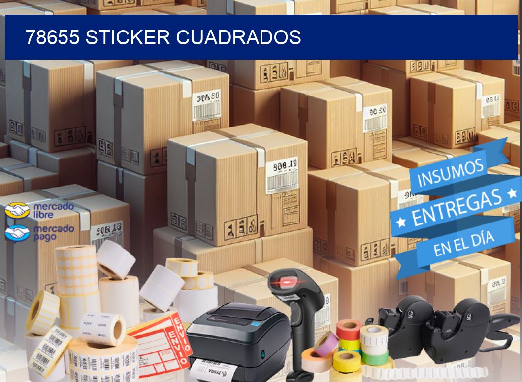 78655 STICKER CUADRADOS