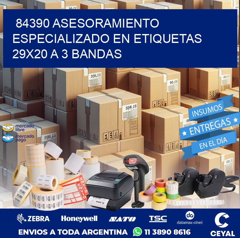 84390 ASESORAMIENTO ESPECIALIZADO EN ETIQUETAS 29X20 A 3 BANDAS