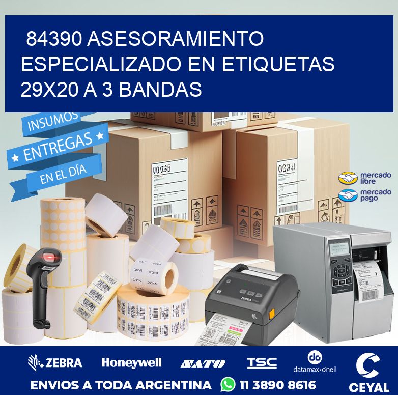 84390 ASESORAMIENTO ESPECIALIZADO EN ETIQUETAS 29X20 A 3 BANDAS