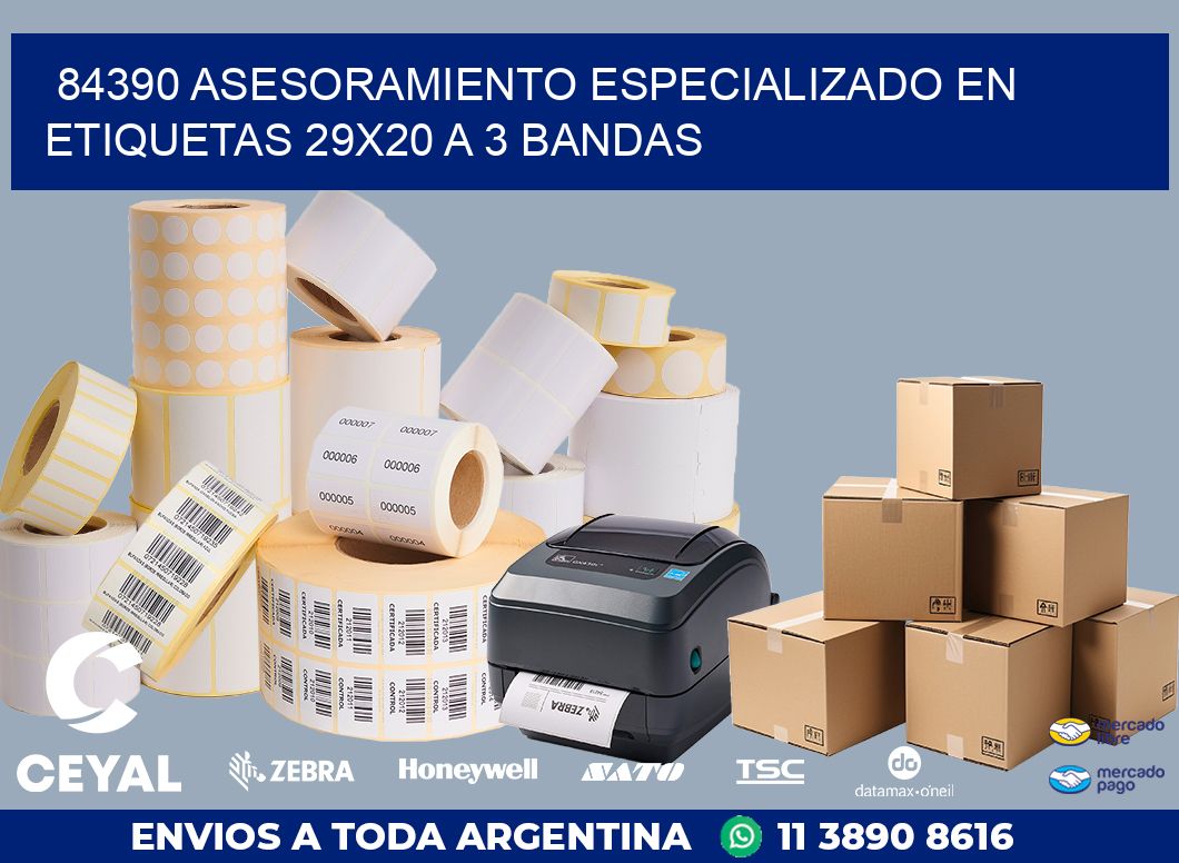 84390 ASESORAMIENTO ESPECIALIZADO EN ETIQUETAS 29X20 A 3 BANDAS