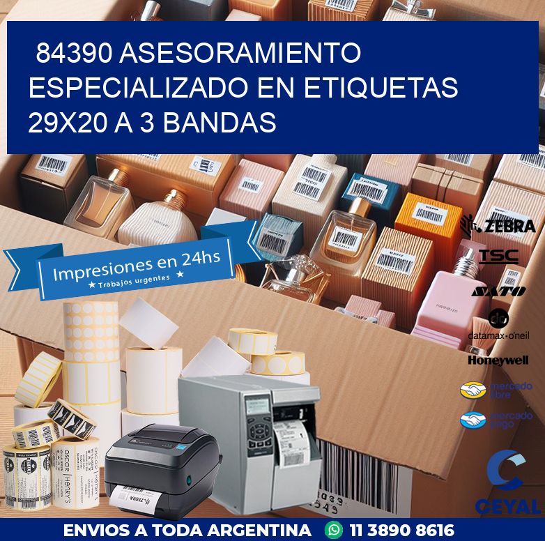 84390 ASESORAMIENTO ESPECIALIZADO EN ETIQUETAS 29X20 A 3 BANDAS