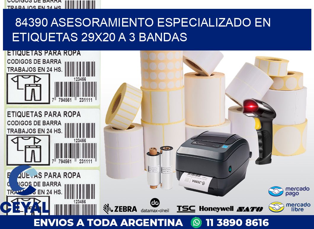84390 ASESORAMIENTO ESPECIALIZADO EN ETIQUETAS 29X20 A 3 BANDAS