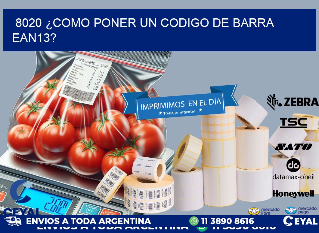 8020 ¿COMO PONER UN CODIGO DE BARRA  EAN13?