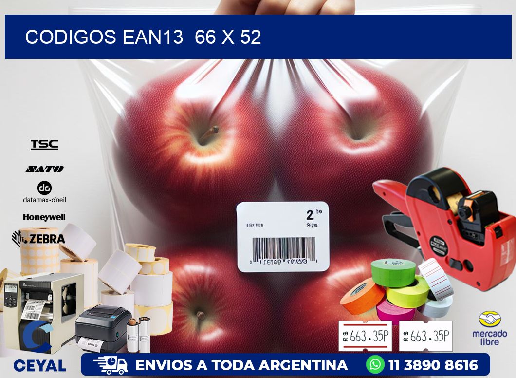 CODIGOS EAN13  66 x 52