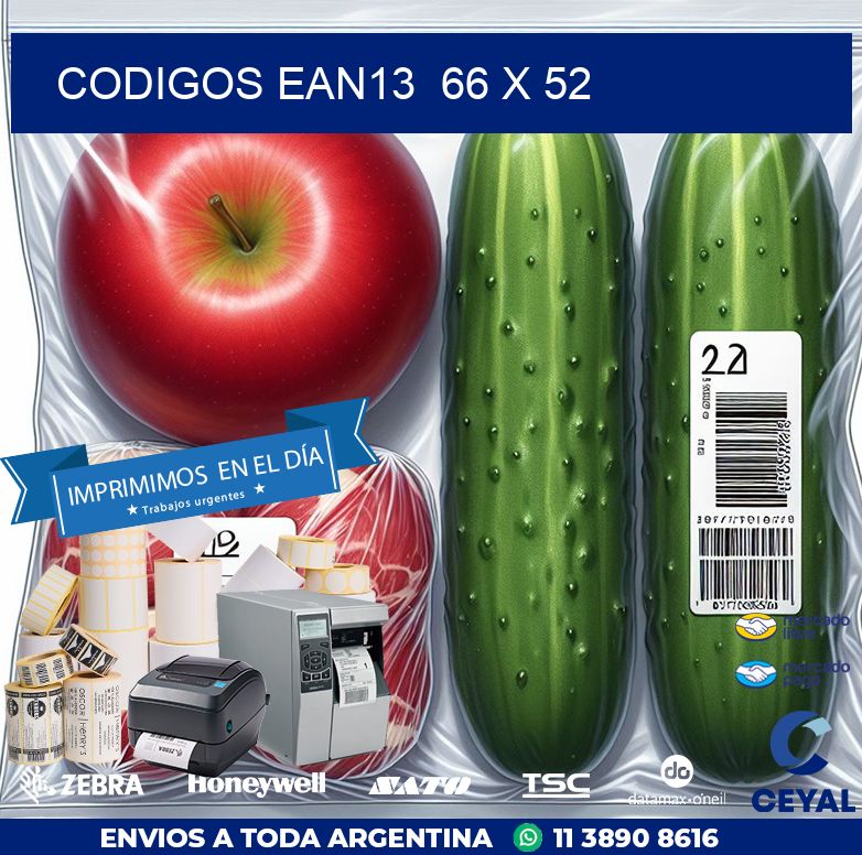 CODIGOS EAN13  66 x 52