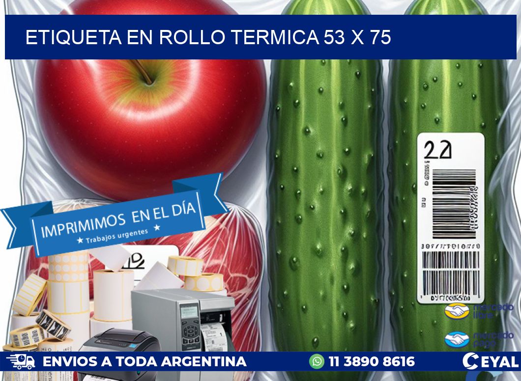 ETIQUETA EN ROLLO TERMICA 53 x 75