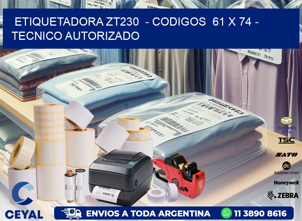 ETIQUETADORA ZT230  - CODIGOS  61 x 74 - TECNICO AUTORIZADO