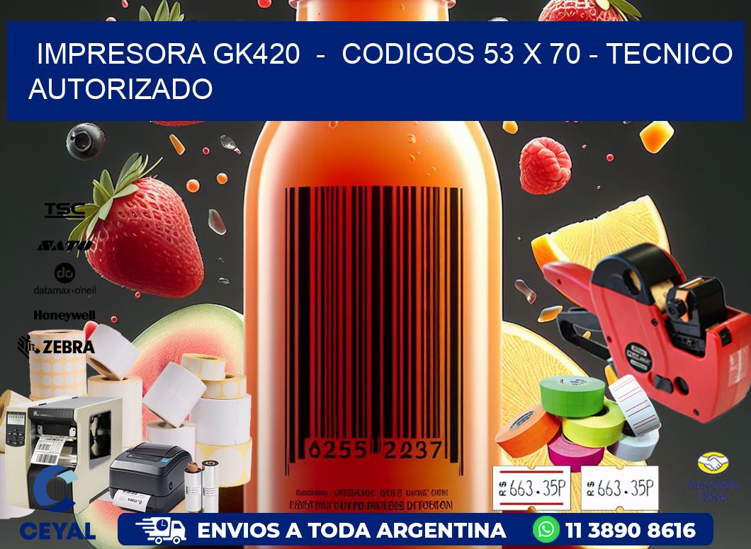 IMPRESORA GK420  -  CODIGOS 53 x 70 - TECNICO AUTORIZADO