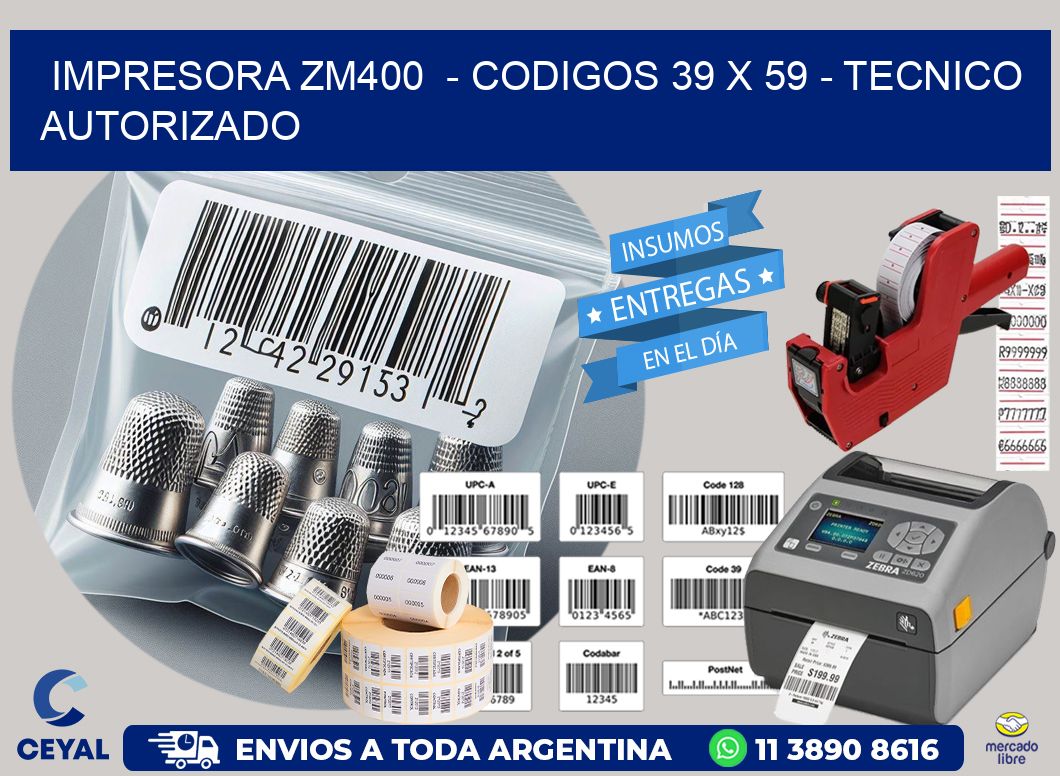IMPRESORA ZM400  - CODIGOS 39 x 59 - TECNICO AUTORIZADO
