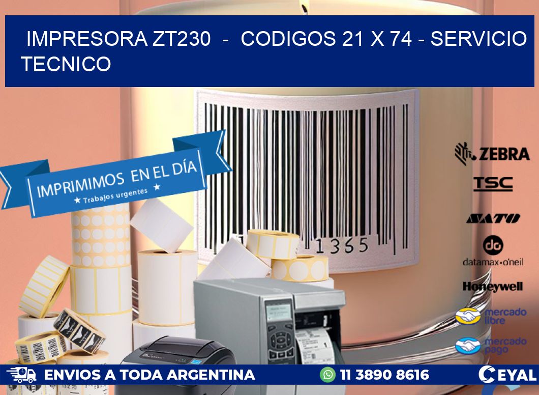 IMPRESORA ZT230  -  CODIGOS 21 x 74 - SERVICIO TECNICO