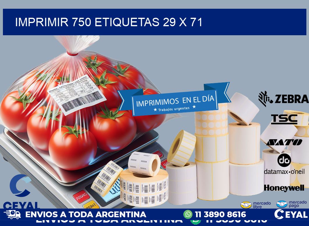 IMPRIMIR 750 ETIQUETAS 29 x 71