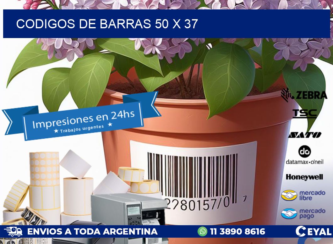 codigos de barras 50 x 37