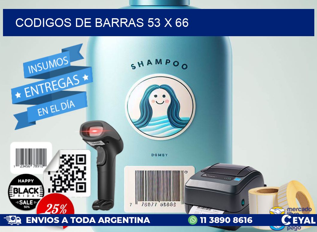 codigos de barras 53 x 66