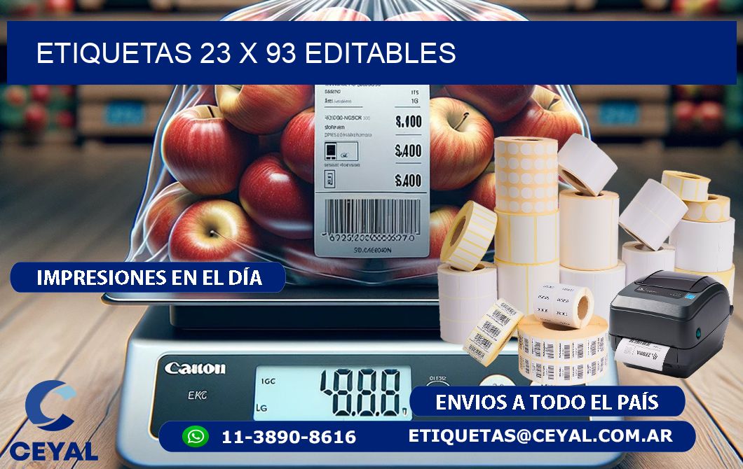 ETIQUETAS 23 x 93 EDITABLES