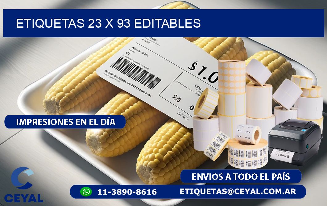 ETIQUETAS 23 x 93 EDITABLES