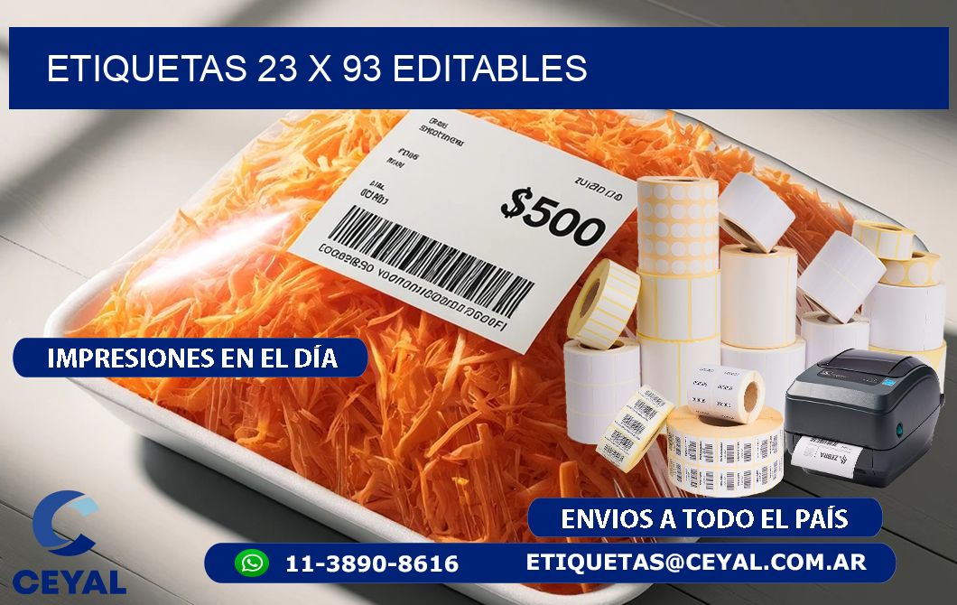 ETIQUETAS 23 x 93 EDITABLES