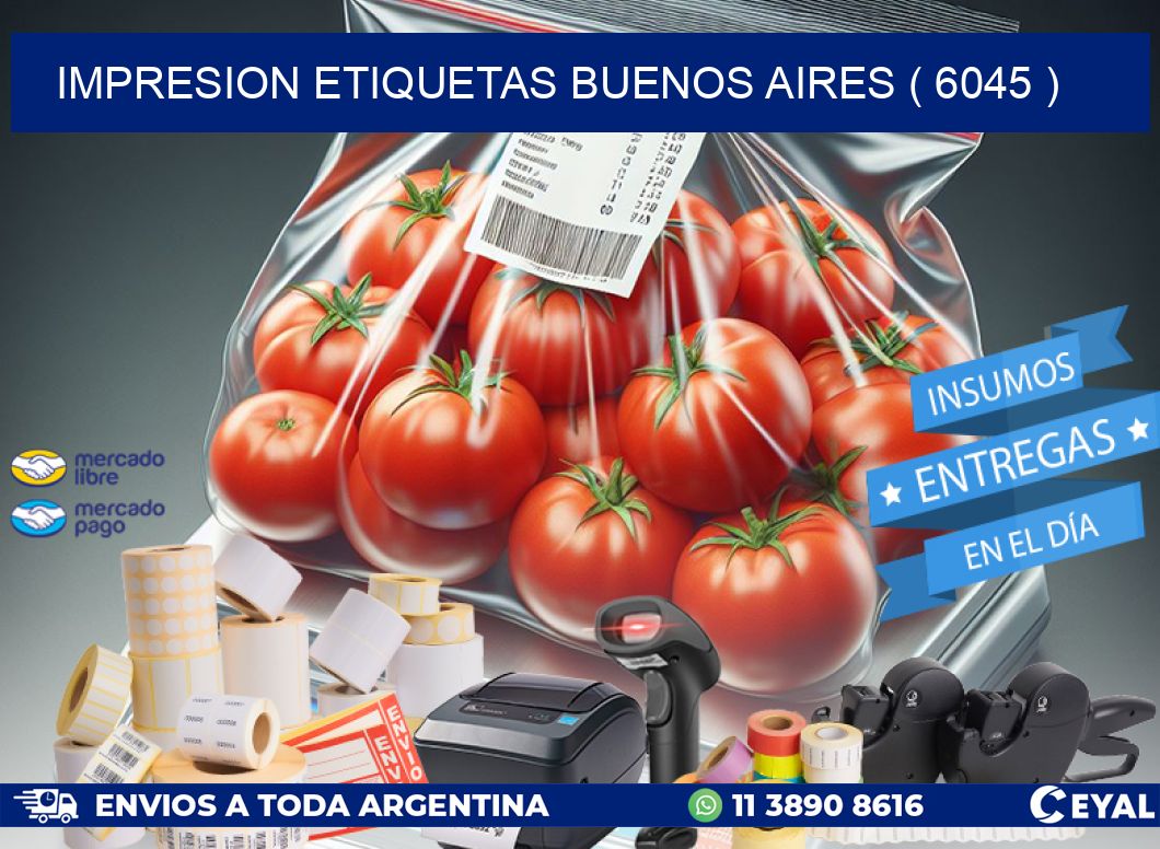 impresion etiquetas buenos aires ( 6045 )