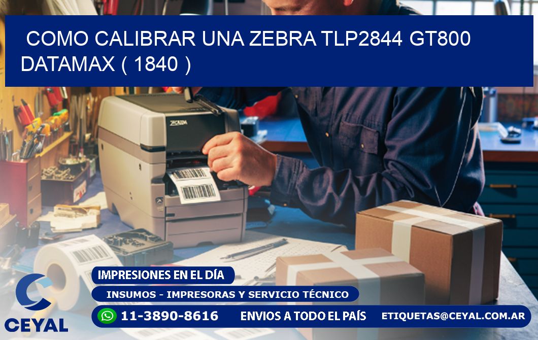 COMO CALIBRAR UNA ZEBRA TLP2844 GT800 DATAMAX ( 1840 )