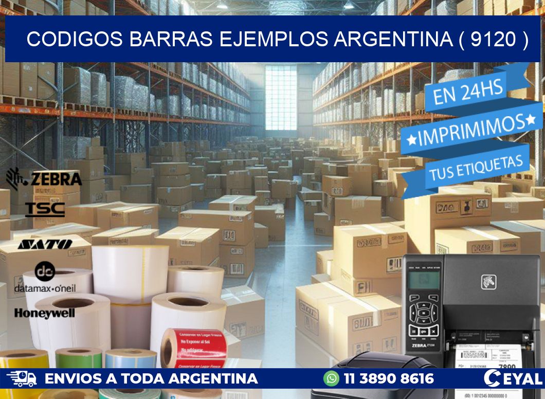 codigos barras ejemplos argentina ( 9120 )