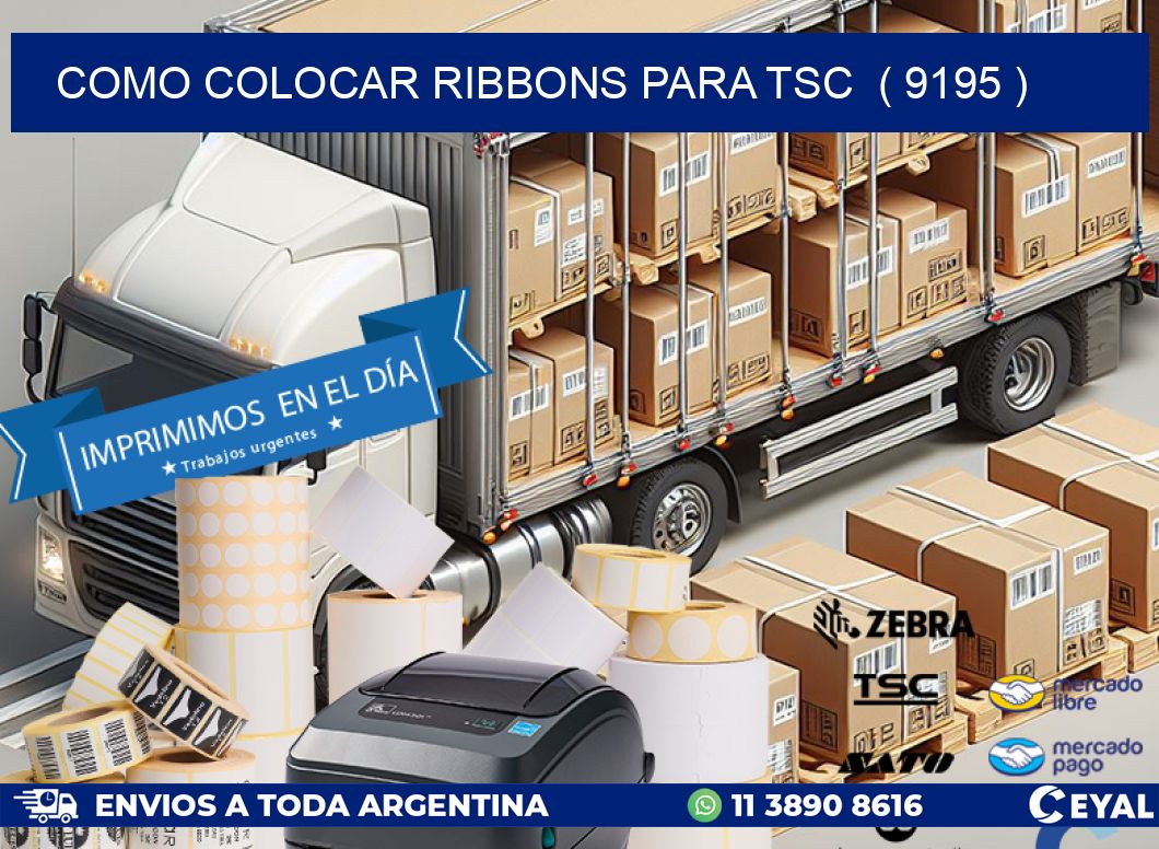 COMO COLOCAR RIBBONS PARA TSC  ( 9195 )