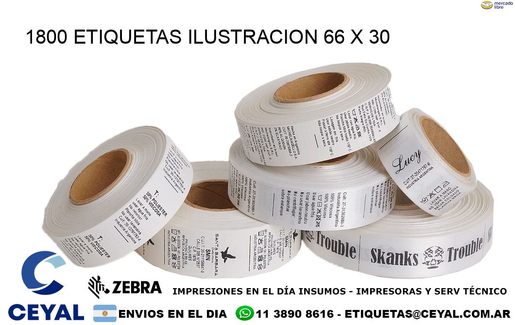 1800 ETIQUETAS ILUSTRACION 66 x 30