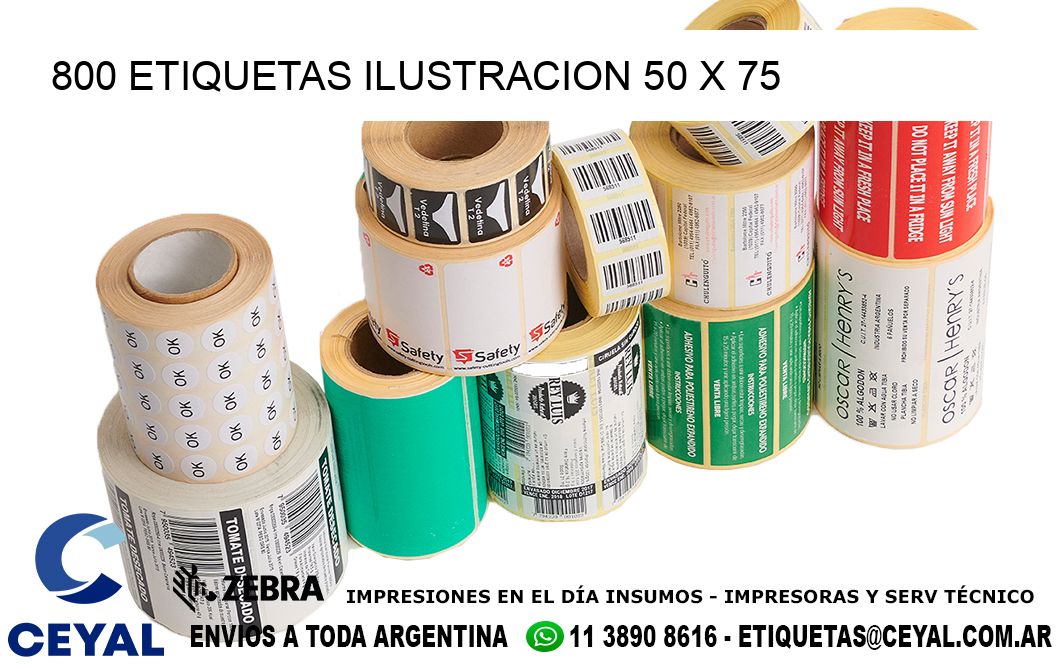 800 ETIQUETAS ILUSTRACION 50 x 75