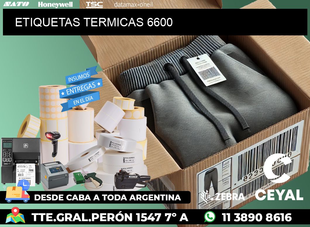 ETIQUETAS TERMICAS 6600