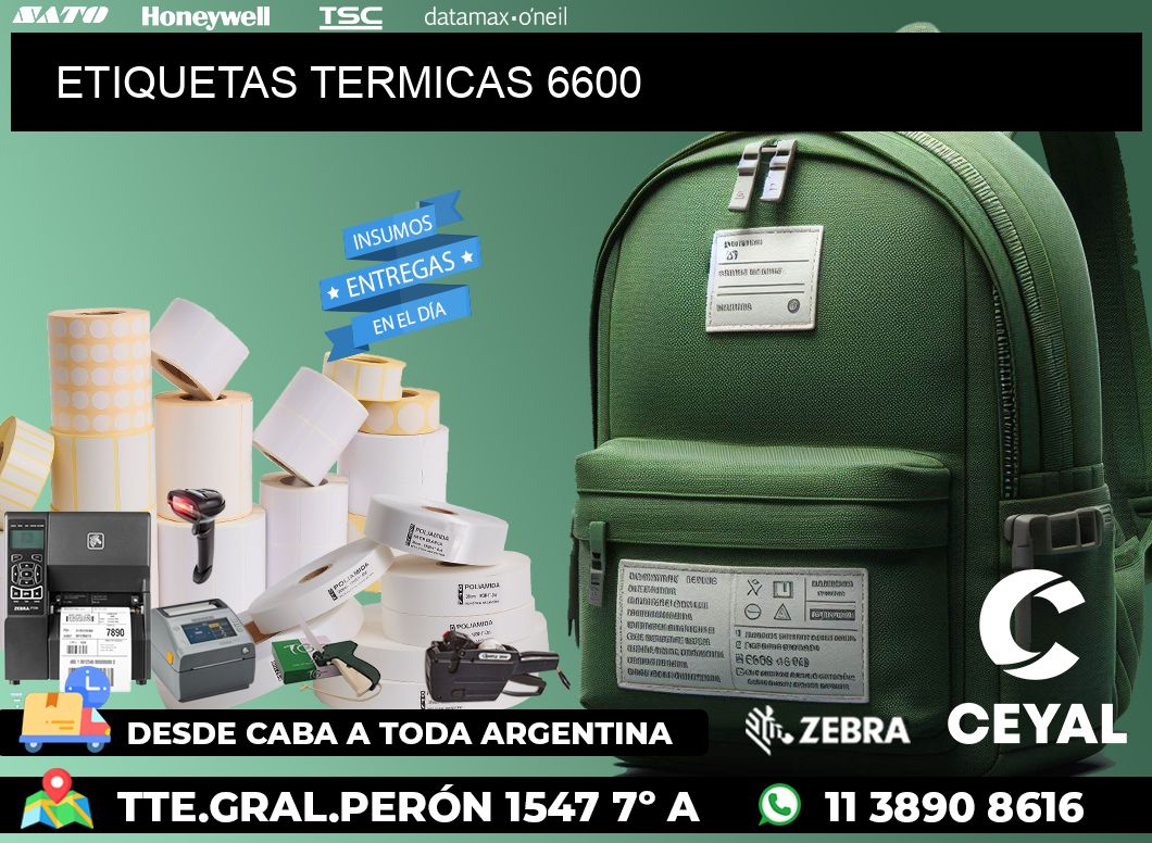 ETIQUETAS TERMICAS 6600