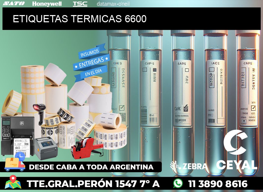 ETIQUETAS TERMICAS 6600