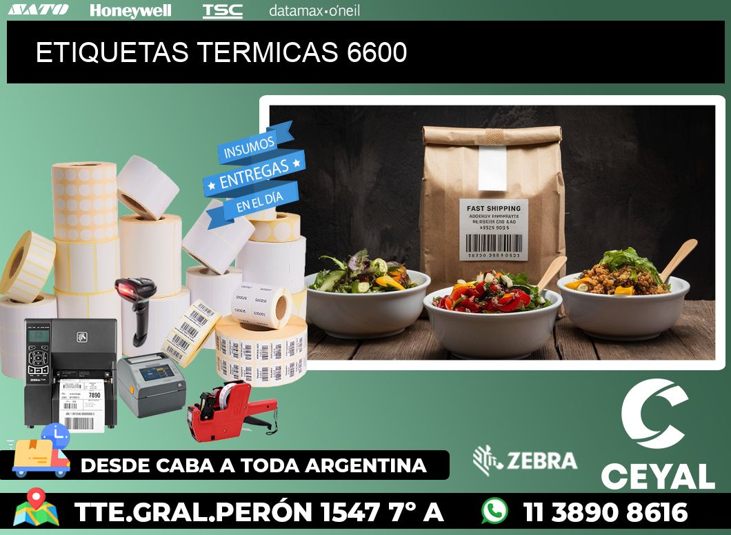 ETIQUETAS TERMICAS 6600