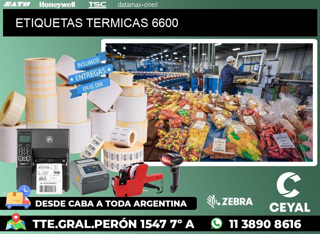 ETIQUETAS TERMICAS 6600