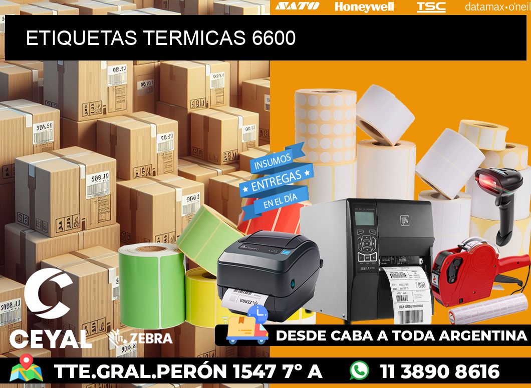 ETIQUETAS TERMICAS 6600