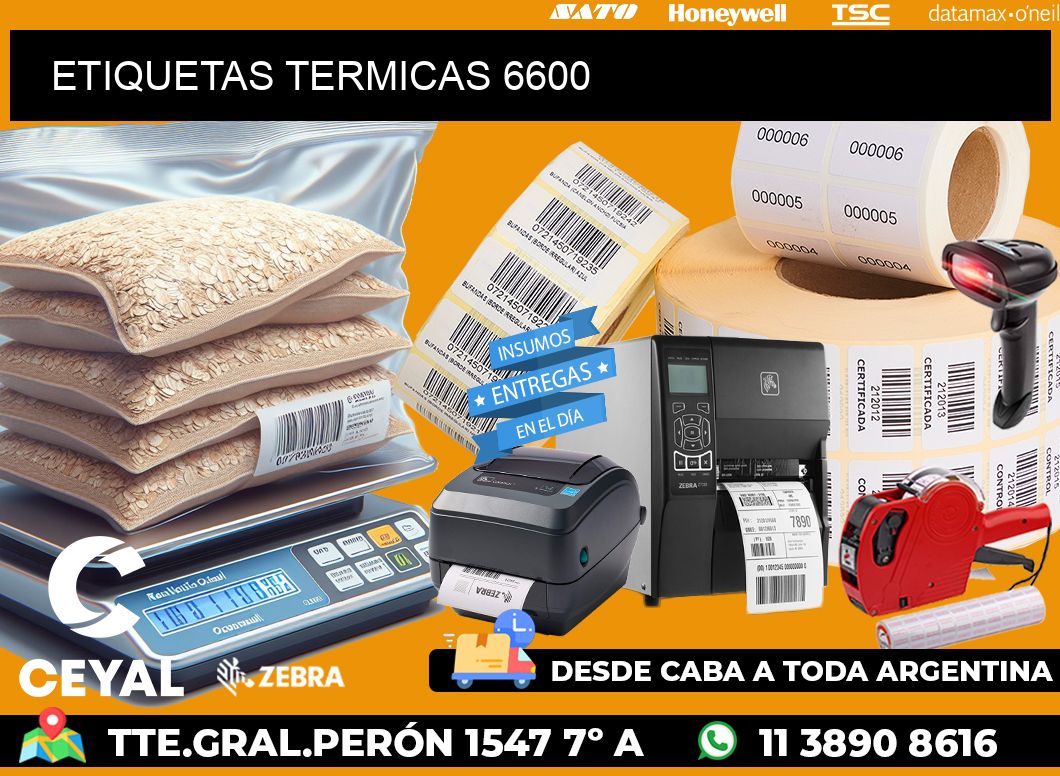 ETIQUETAS TERMICAS 6600