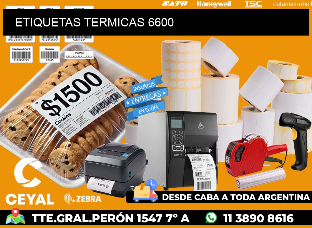 ETIQUETAS TERMICAS 6600