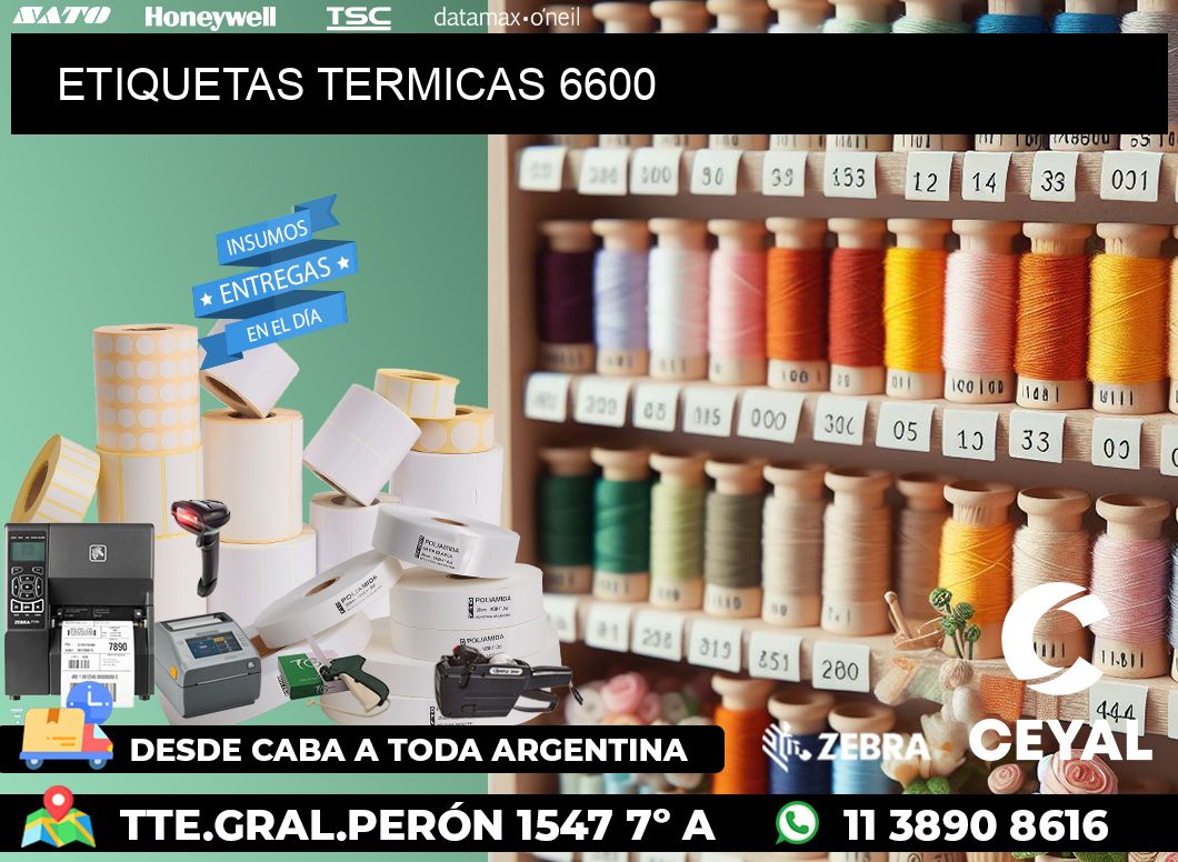 ETIQUETAS TERMICAS 6600