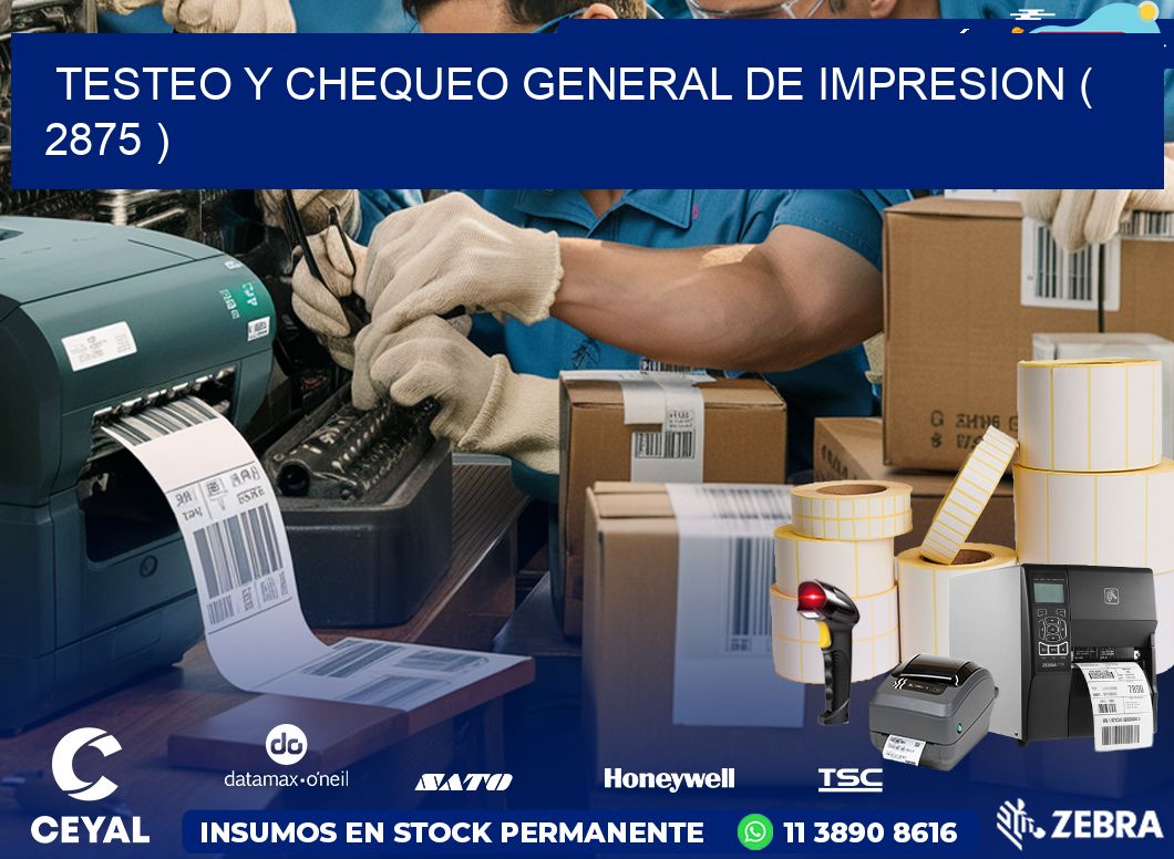 TESTEO Y CHEQUEO GENERAL DE IMPRESION ( 2875 )