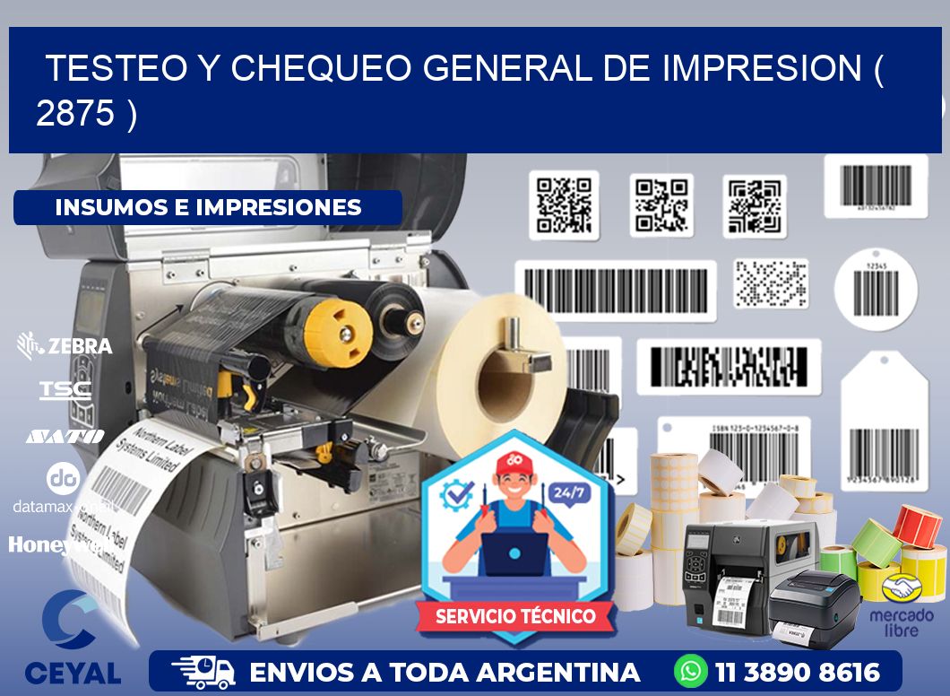 TESTEO Y CHEQUEO GENERAL DE IMPRESION ( 2875 )