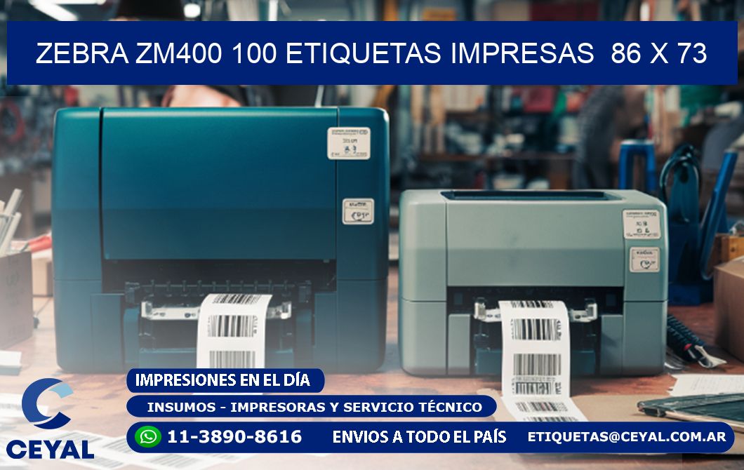 ZEBRA ZM400 100 ETIQUETAS IMPRESAS  86 x 73