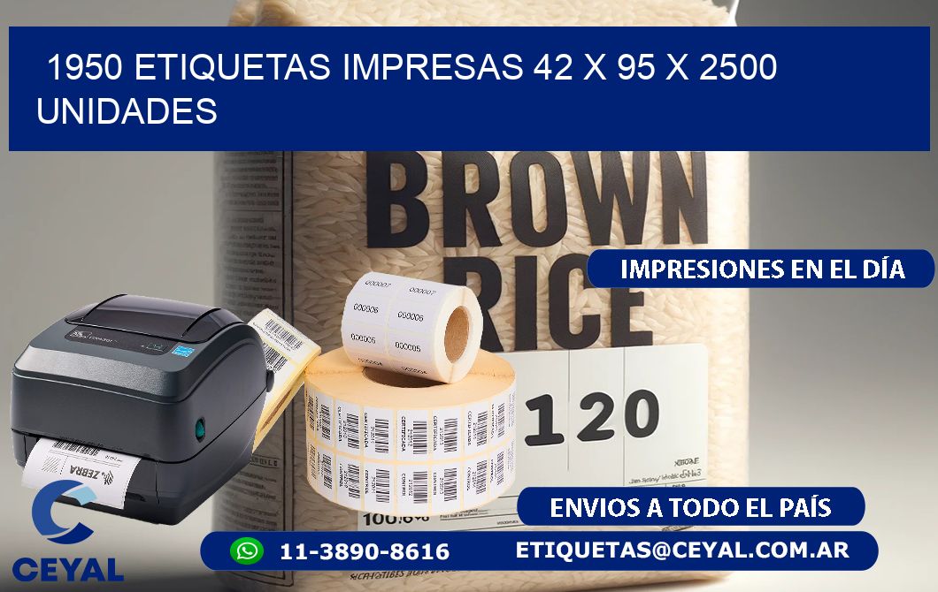 1950 ETIQUETAS IMPRESAS 42 x 95 X 2500 UNIDADES