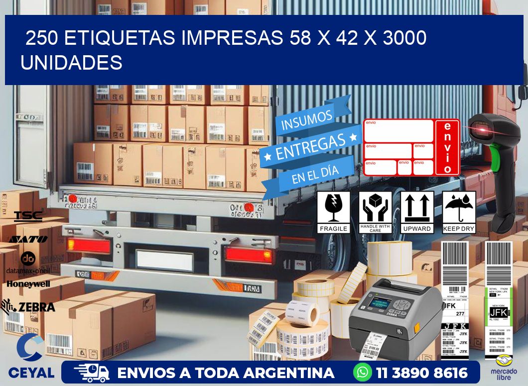 250 ETIQUETAS IMPRESAS 58 x 42 X 3000 UNIDADES