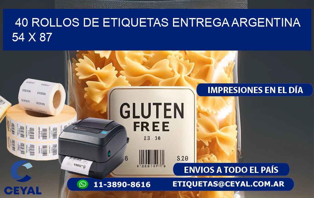 40 ROLLOS DE ETIQUETAS ENTREGA ARGENTINA 54 x 87