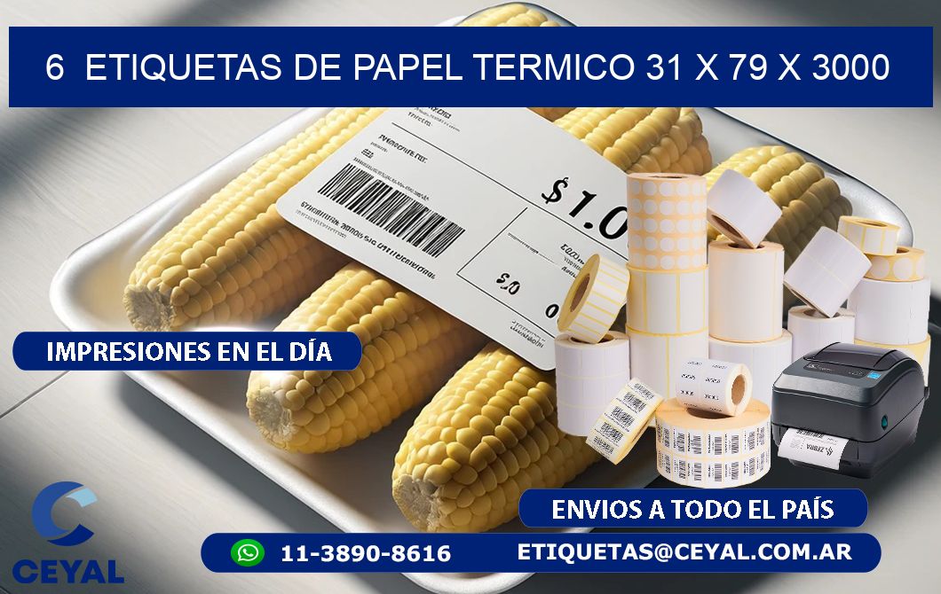 6  ETIQUETAS DE PAPEL TERMICO 31 x 79 X 3000